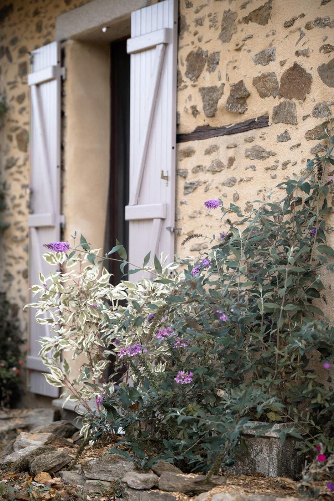 Domaine Abbey-Rose Hotel Champsac Exterior photo